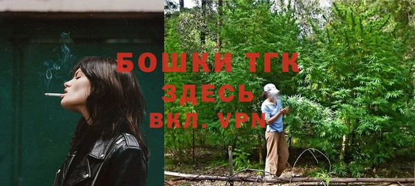 2c-b Инсар