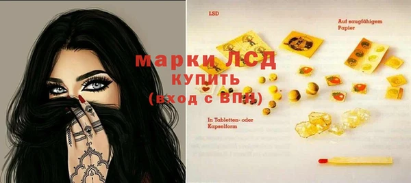 2c-b Инсар