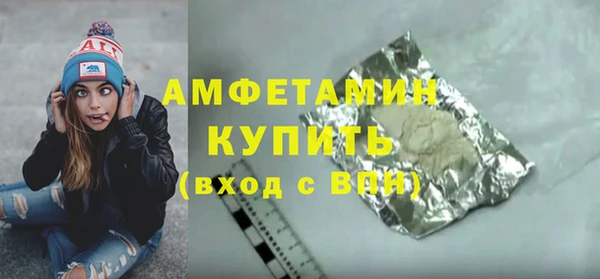 2c-b Инсар