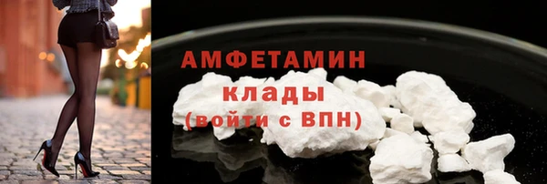 2c-b Инсар
