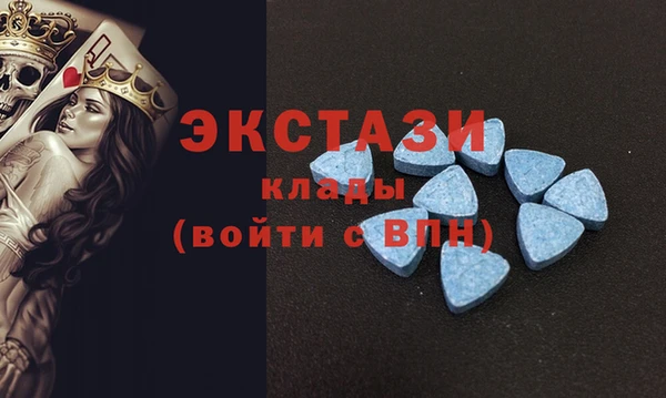 2c-b Инсар