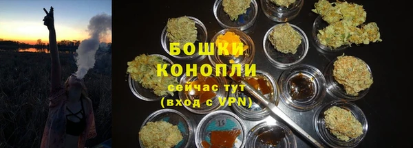 2c-b Инсар