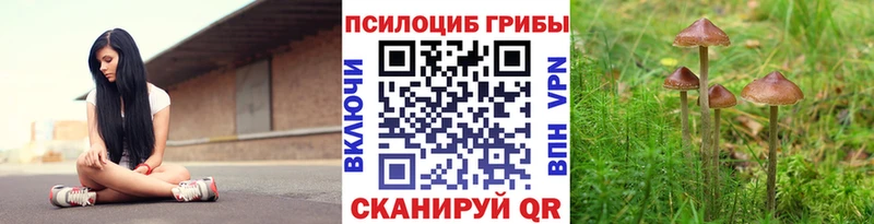 Купить  Надым  Псилоцибиновые грибы Cubensis 